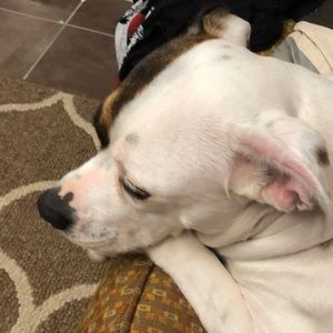 Meet your Posher, Hope